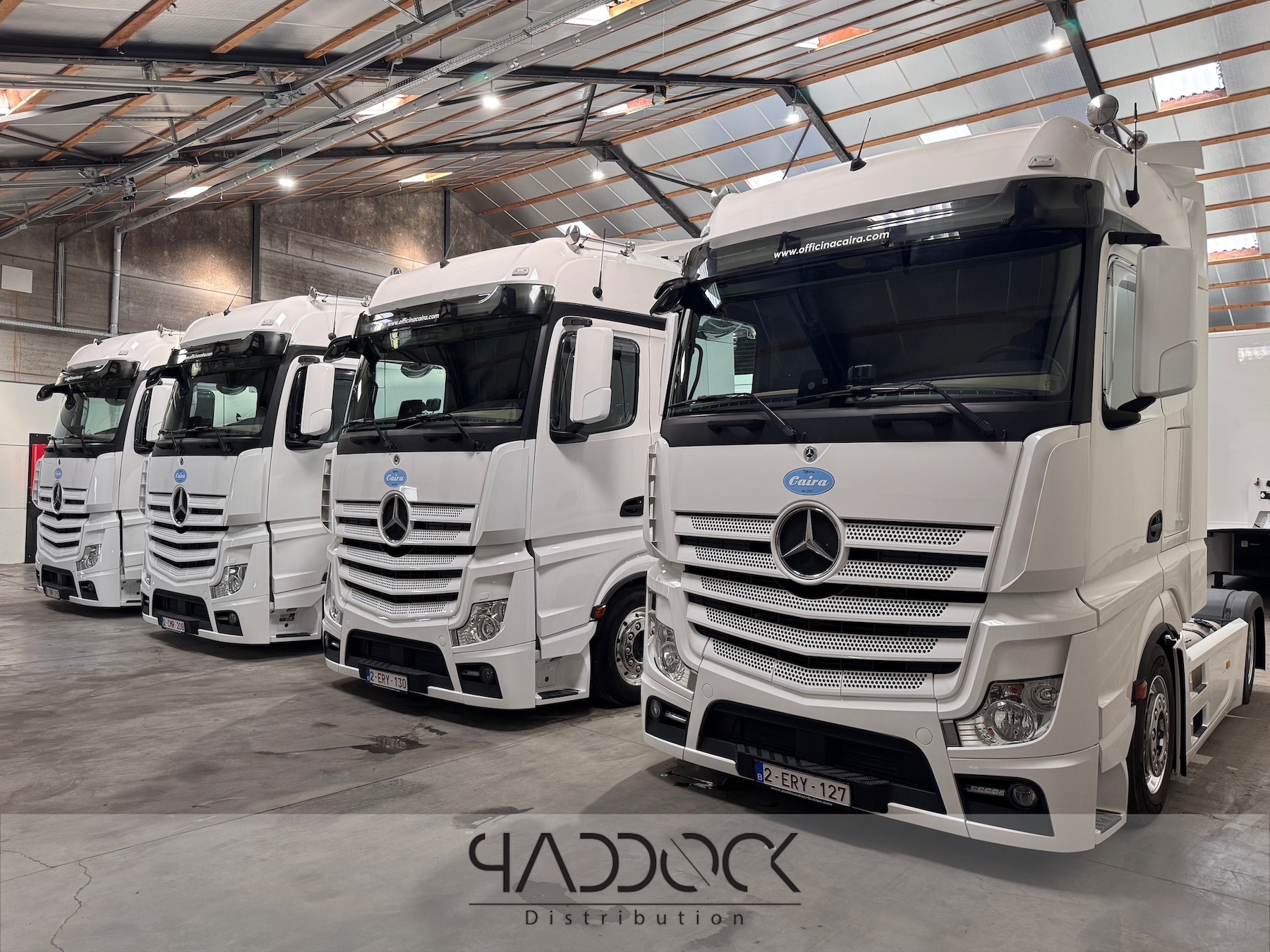 Paddock Distribution